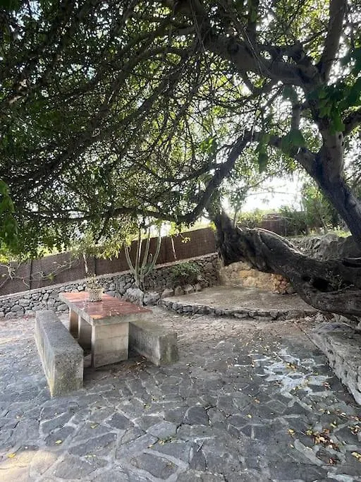 Finca Es Born - Vistas Panoramicas Esporles Hébergement de vacances